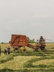 Yellow Spring Expres